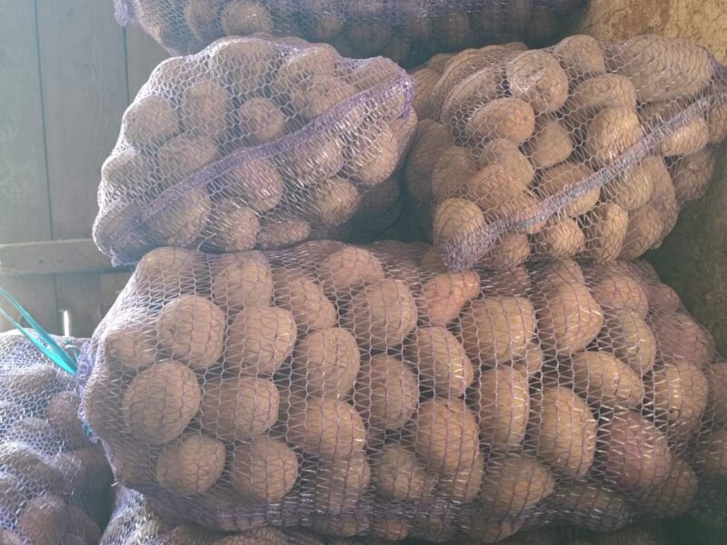 Продам картоплю оптом від 1 тонни