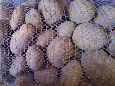 Продам картоплю оптом від 1 тонни