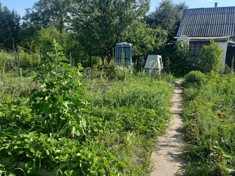 Дача з садибою 10-соток й 2 дод. діл. горіховою, і звичайною