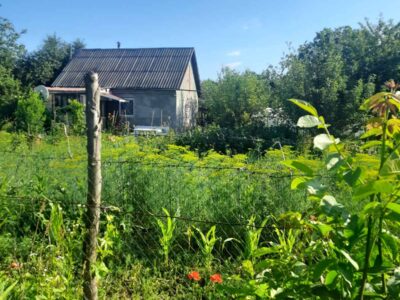 Дача з садибою 10-соток й 2 дод. діл. горіховою, і звичайною