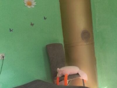 Продається будинок у м. Рені Одеської області
